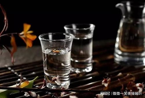 醬香酒品鑒入門指南 解鎖醇香滋味的六大技巧